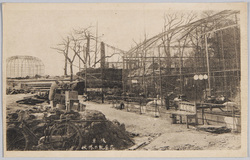 浅草花屋敷の惨状 / Scene of the Disaster of Asakusa Hanayashiki Amusement Park image