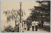 浅草名所絵葉書 (５)隅田公園/Famous Views of Asakusa Picture Postcards (5) Sumida Park image