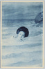 泳ぐ女性/Swimming Woman image