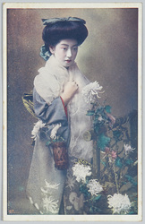 菊の花と和装女性 / Chrysanthemum Flowers and a Woman in Kimono image