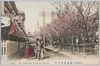  (東京名所)新吉原仲之町/(Famous Views of Tokyo) Nakanochō, Shin-Yoshiwara image