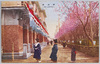 新吉原/Shin-Yoshiwara image