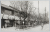 新吉原五景容之内　四月　桜/Five Views of Shin Yoshiwara, April, Cherry Blossom image