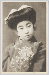 芸妓 新橋菊三升栄龍 / Geisha, Shimbashi Kikumimasu, Eiryū image