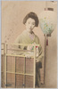 艶叢/Ensō (Picture Postcards of Beautiful Women) image