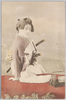 若衆姿/Adolescent Boy image