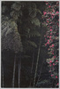 7　浄瑠璃寺の竹籔/7. Bamboo Thicket of Jōruriji Temple image