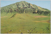 10　阿蘇草千里/10. Kusasenri, Aso image