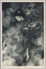 火事/Fire image