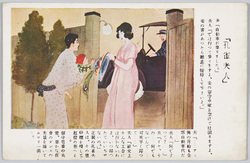 孔雀夫人 / Lady Peacock image