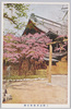 上野清水堂秋色桜/Akiirosakura Cherry Tree at the Ueno Kiyomizudō Hall image
