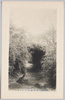  (東都向島)百花園荻のトンネル/(Mukōjima in the Eastern Capital) Hyakkaen Gardens: Tunnel of Amur Silver-Grass image