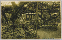 東都向島百花園 (NO.3) / Mukōjima in the Eastern Capital, Hyakkaen Gardens (NO.3) image
