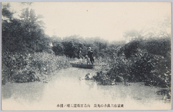 東京市大出水の光景 向島百花園花壇ノ浸水 / Scene of the Great Flood in Tokyoshi, Inundation on the Flower Beds in the Mukōjima Hyakkaen Gardens image