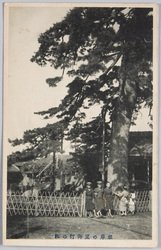根岸の里御行の松 / Ogyō no Matsu Pine Tree in the Village of Negishi image