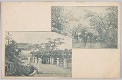 向島 亀井戸 / Mukōjima, Kameido image