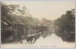 新宿十二社の池畔 / Pondside in Junisō, Shinjuku image