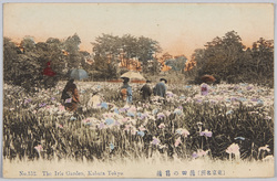 (東京名所)蒲田の菖蒲 / (Famous Views of Tokyo) Irises in Kamata image
