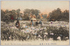  (東京名所)蒲田の菖蒲/(Famous Views of Tokyo) Irises in Kamata image