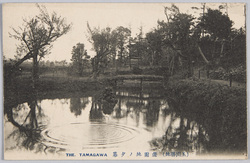 (玉川勝地)遊園地ノタ暮 / (Scenic Spots of the Tama River) Amusement Park at Dusk image