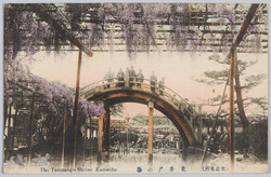 (東京名所)亀井戸の藤 / Famous Views of Tokyo: Wisteria Flowers in the Kameido Tenjin Shrine image