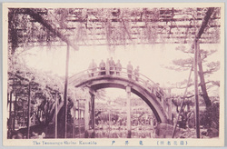 (藤花名所)亀井戸 / (Famous Spots for Wisteria Flowers) Kameido image