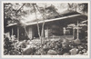  (王子名ぬしの瀧)霜錦亭/(Nanushi no Taki Park, Ōji) Sōkintei Teahouse image