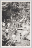  (王子名ぬしの瀧)溪流の魚すくひ/(Nanushi no Taki Park, Ōji) Fish Scooping by the Stream image