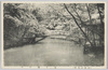  (紅葉の名所)王子瀧の川/(Famous Spots for Autumn Leaves) Takinogawa River, Ōji image