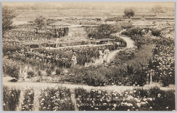 文部省指定名勝花菖蒲小高園高台ヨリ一部ヲ望ム / Scenic Spots Designated by the Ministry of Education: Partial View from the High Ground of the Kodakaen Iris Garden image