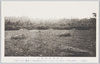 武蔵国分寺　旧址　金堂址/Musashi Kokubunji Temple: Historic Remains, The Site of the Kondō Hall  image