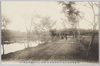  (其四)正門内清明池畔ノ二/(4) View near the Seimei Pond Inside the Main Gate image
