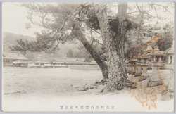 宮島松原石灯篭本社遠望 / Stone Lanterns at Matsubara (Sandy Beach Lined with Pine Trees) with a Distant View of the Main Shrine, Miyajima image