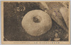 常陸宮幣大社鹿島神宮　要石/National Shrine of Major Grade Kashima Jingū Shrine, Hitachi: Kanameishi Rock image