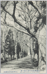 武蔵国府中町旧馬場の景 / View of the Former Race Course, Fuchucho, Musashi Province image
