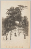 美保関　五本松ト五本松公園/Gohommatsu (Five Pine Trees) and Gohommatsu Park, Mihonoseki image