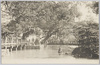 [太宰府天満宮　太鼓橋]/Arched Bridge in Dazaihu Tenmangū image