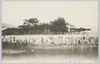  (近江八景)唐崎の松/(Eight Views of Ōmi) Pine Tree at Karasaki image