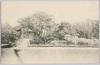 日本庭園/Japanese Garden image