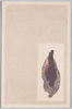 提灯を持つ人影/A Figure Holding a Lantern image