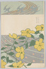 山吹、燕、流水紋図案 (「中学世界」付録)/Japanese Kerria, Swallows, and Water Ripple Pattern (Free Gift From Chugaku Sekai) image