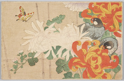 [花と文鳥と蝶] / [Flowers, Java Sparrows and a Butterfly] image