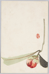 花のつぼみ / Flower Bud image