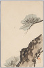 松 / Pine image