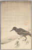 烏 / Crow image