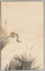 松に鶴 / Crane on Pine image