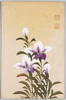 紫の花 / Purple Flowers image