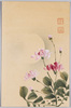 桃色の花/Pink Flowers image