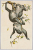 ３匹の猿/Three Monkeys image
