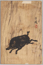 イノシシ / Boar image